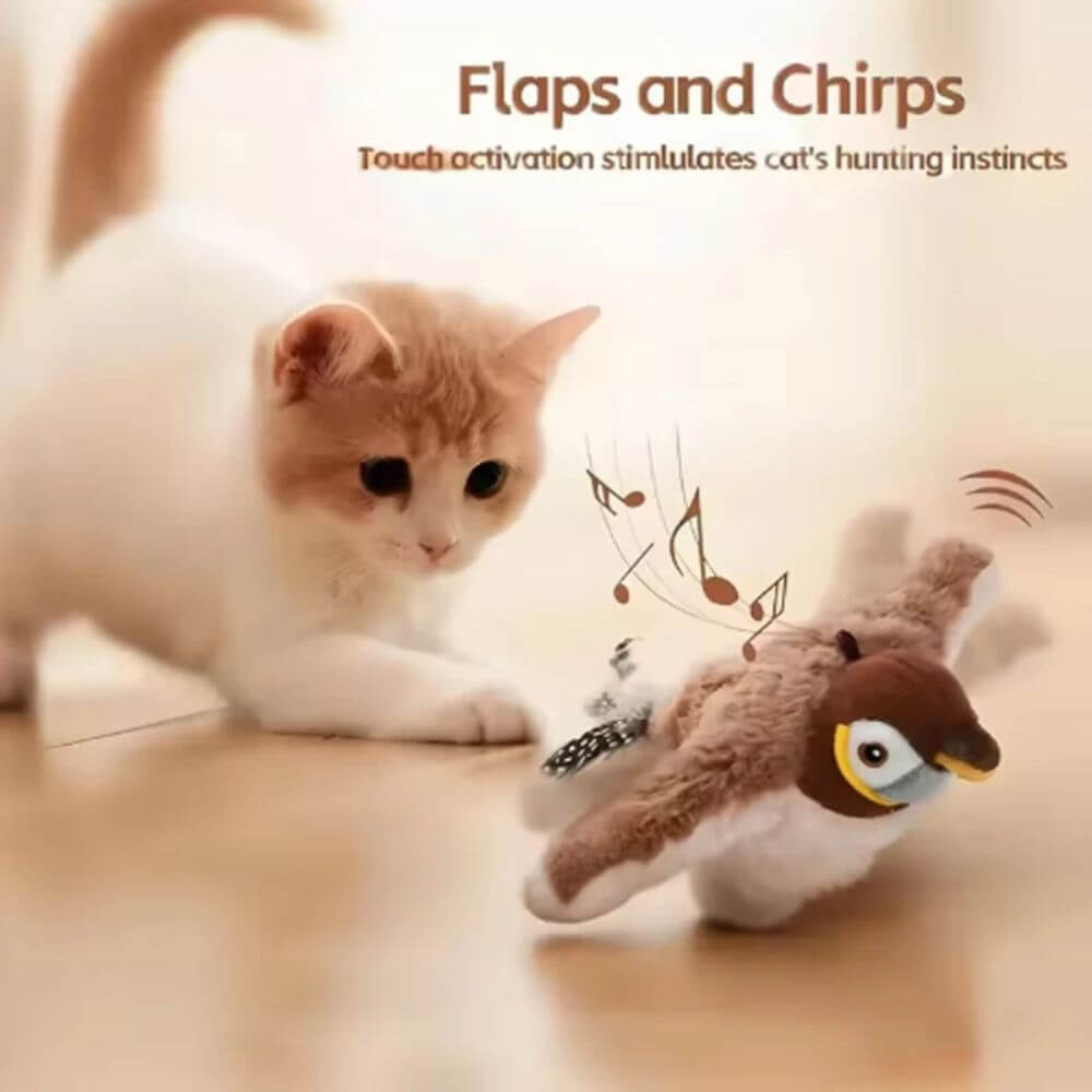 Interactive Bird Cat Toy